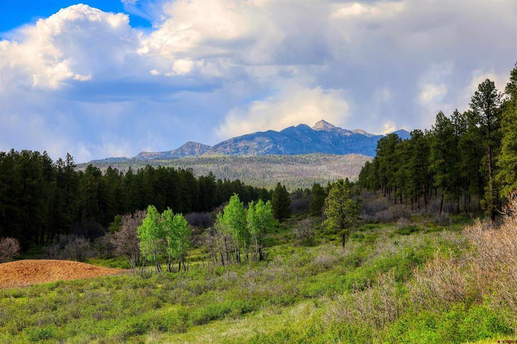 Homesite Captures Panoramic Views of the San Juan Mountains