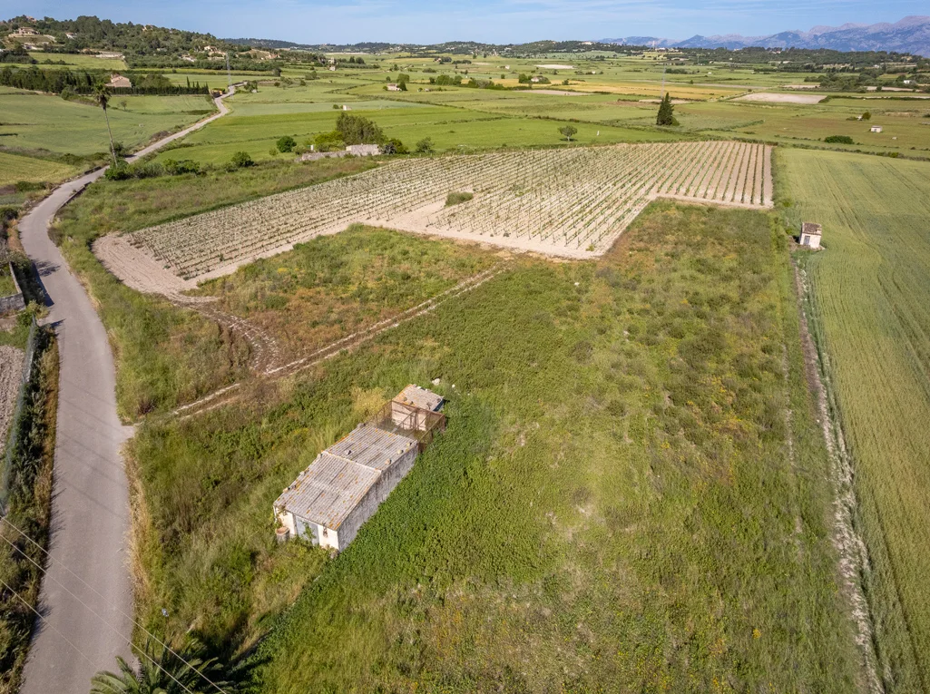Land for sale with vineyard in fantastic location