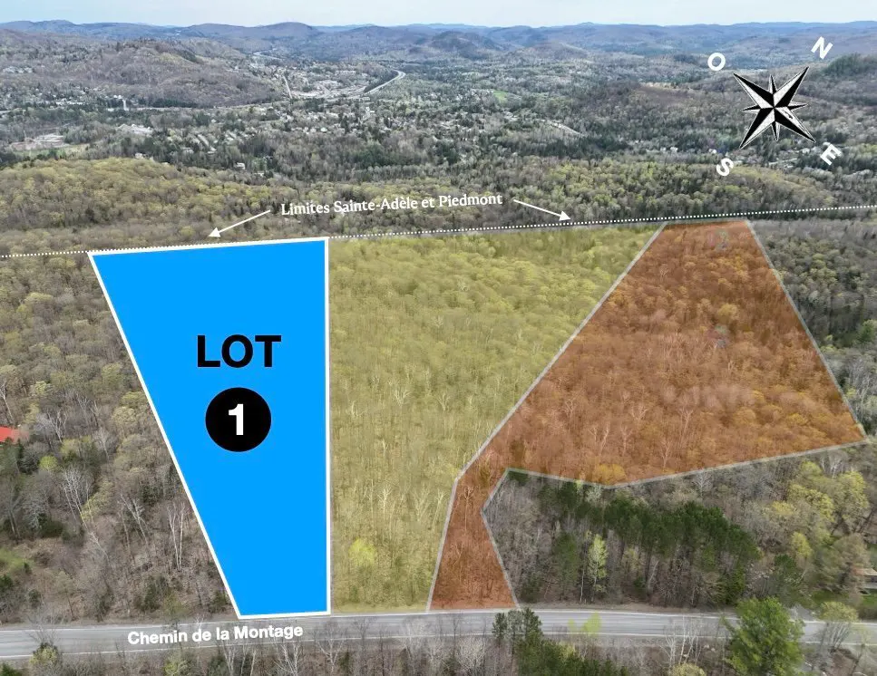Aerial view of land lots, "Lot 1" in blue, with trees, road, and compass rose.