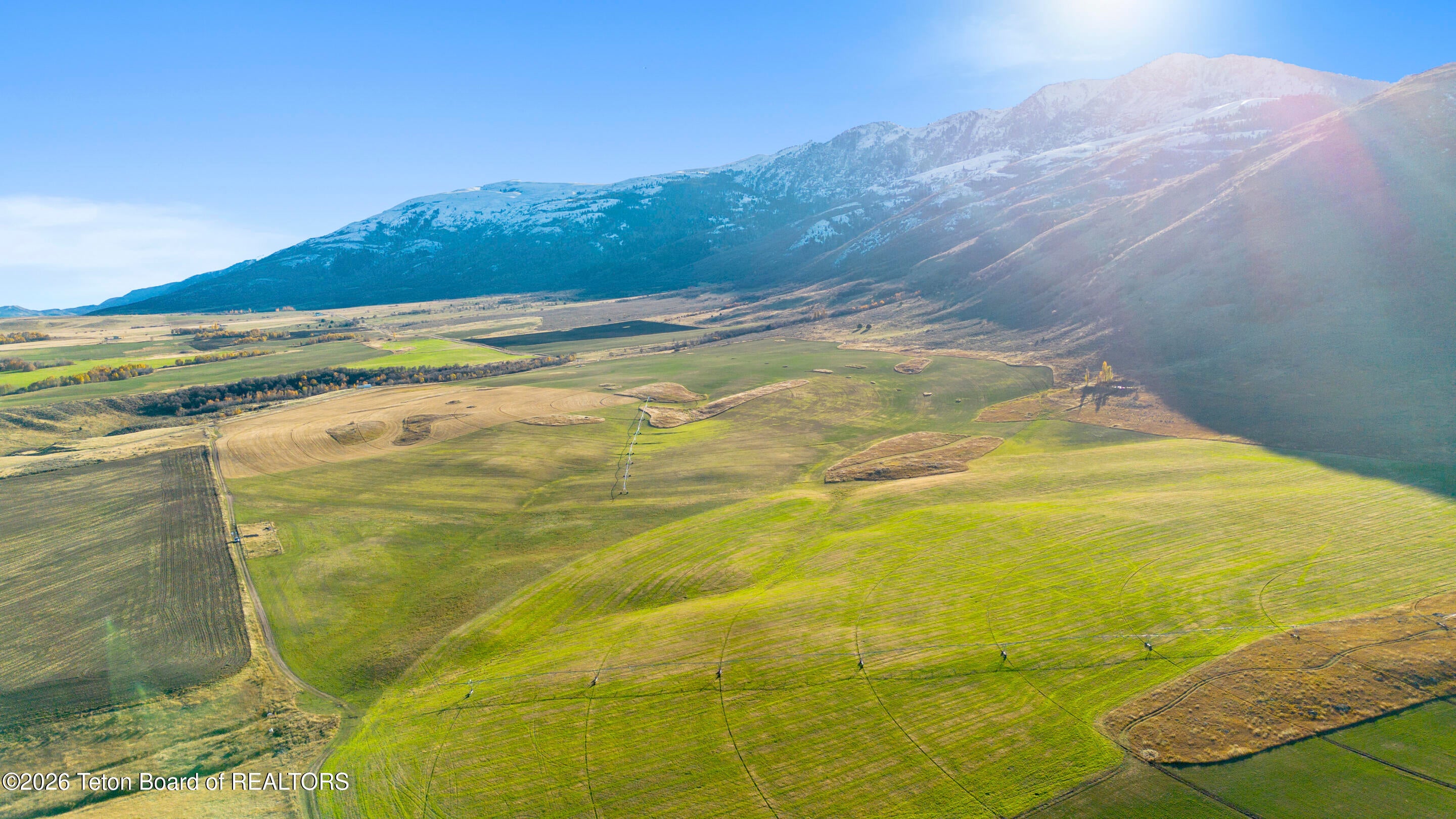 Cattle, Hunting, Irrigated Ground Adjacent to Public Land