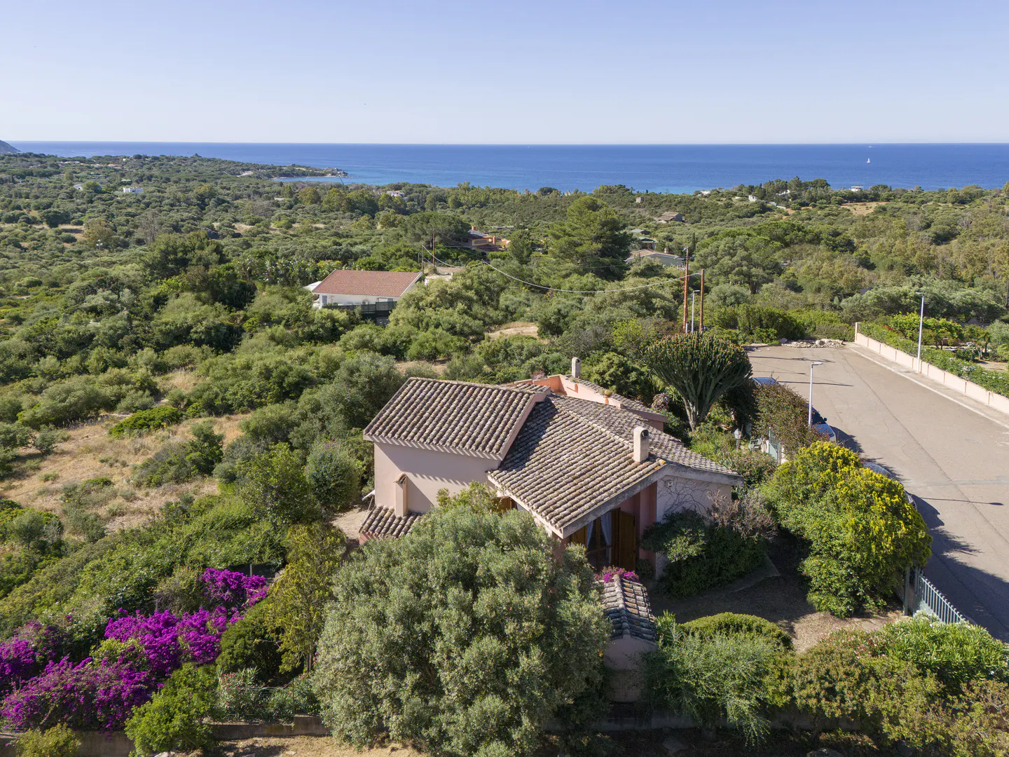 Aerial view of a pink house with a tiled roof, surrounded by lush green trees and purple flowers, with the blue ocean in the background.