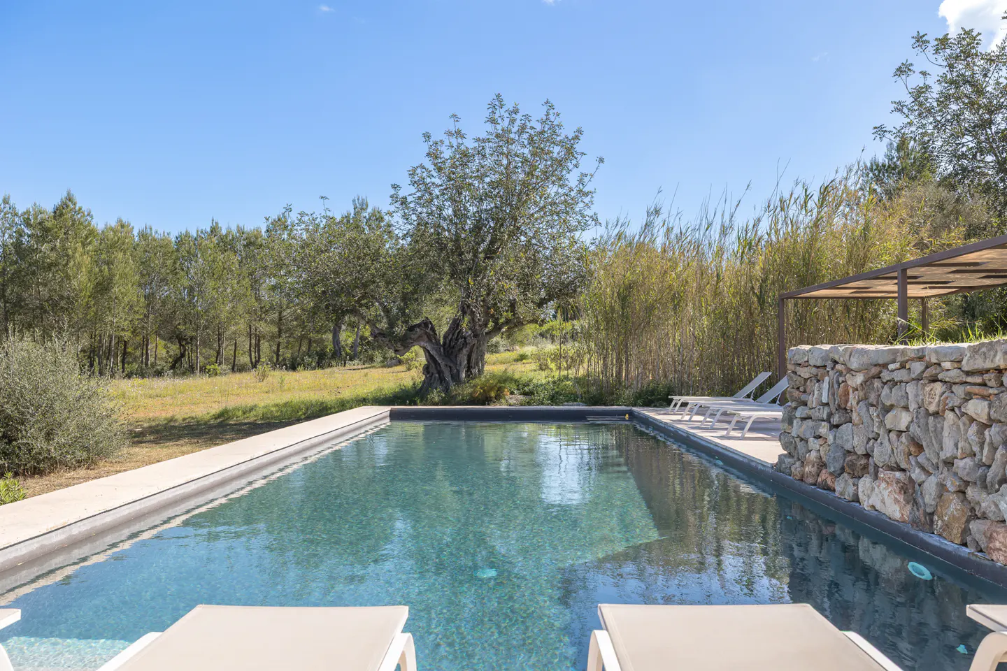 A rectangular pool with lounge chairs, stone wall, and trees under a blue sky.
