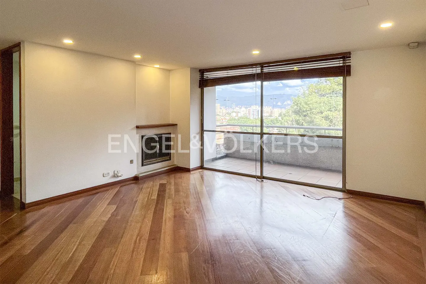 Bright living room with hardwood floors, a fireplace, and a balcony with a city view.