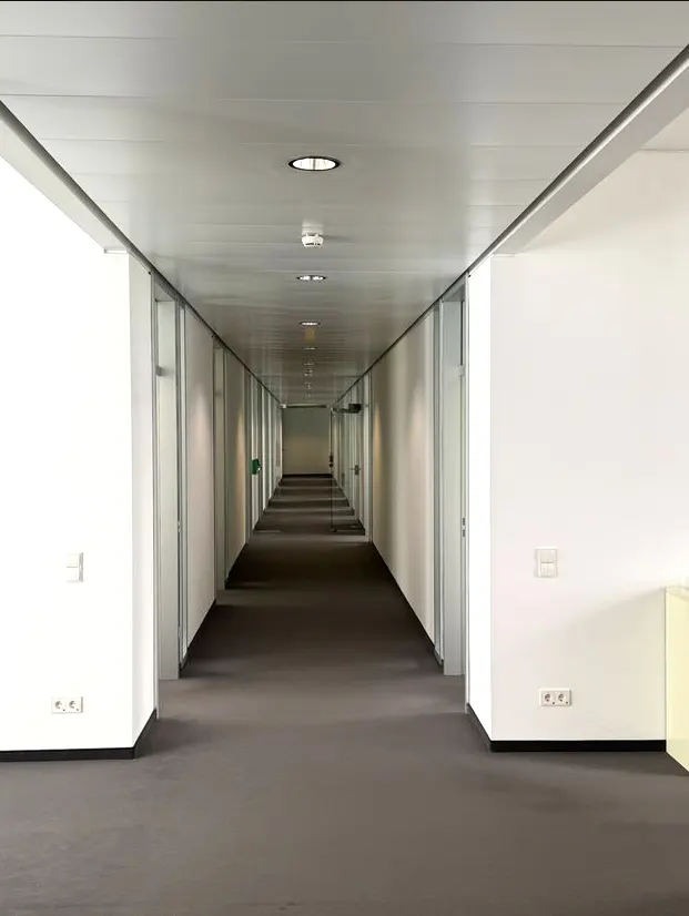 A long, empty hallway with white walls, glass doors, and a gray carpet. Overhead lights illuminate the space.