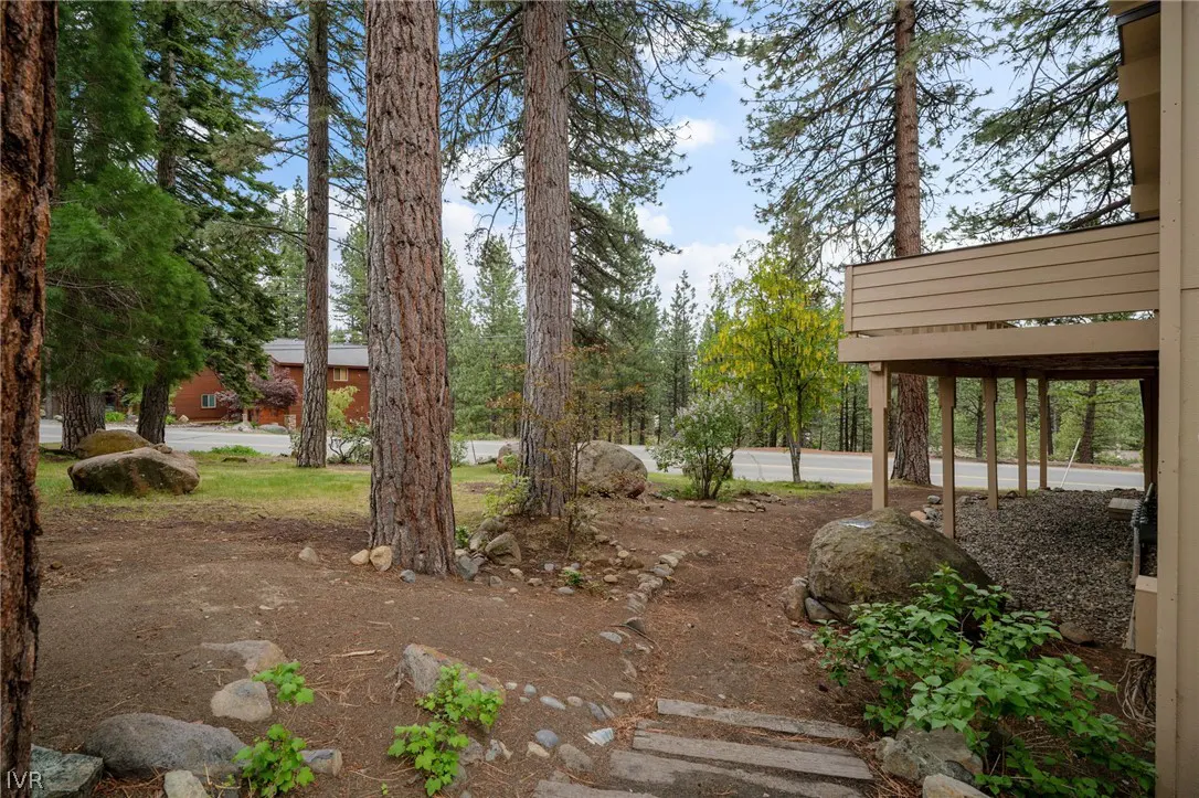 Wooded yard with large pine trees, boulders, and a wooden deck overlooking a quiet road and neighboring house.