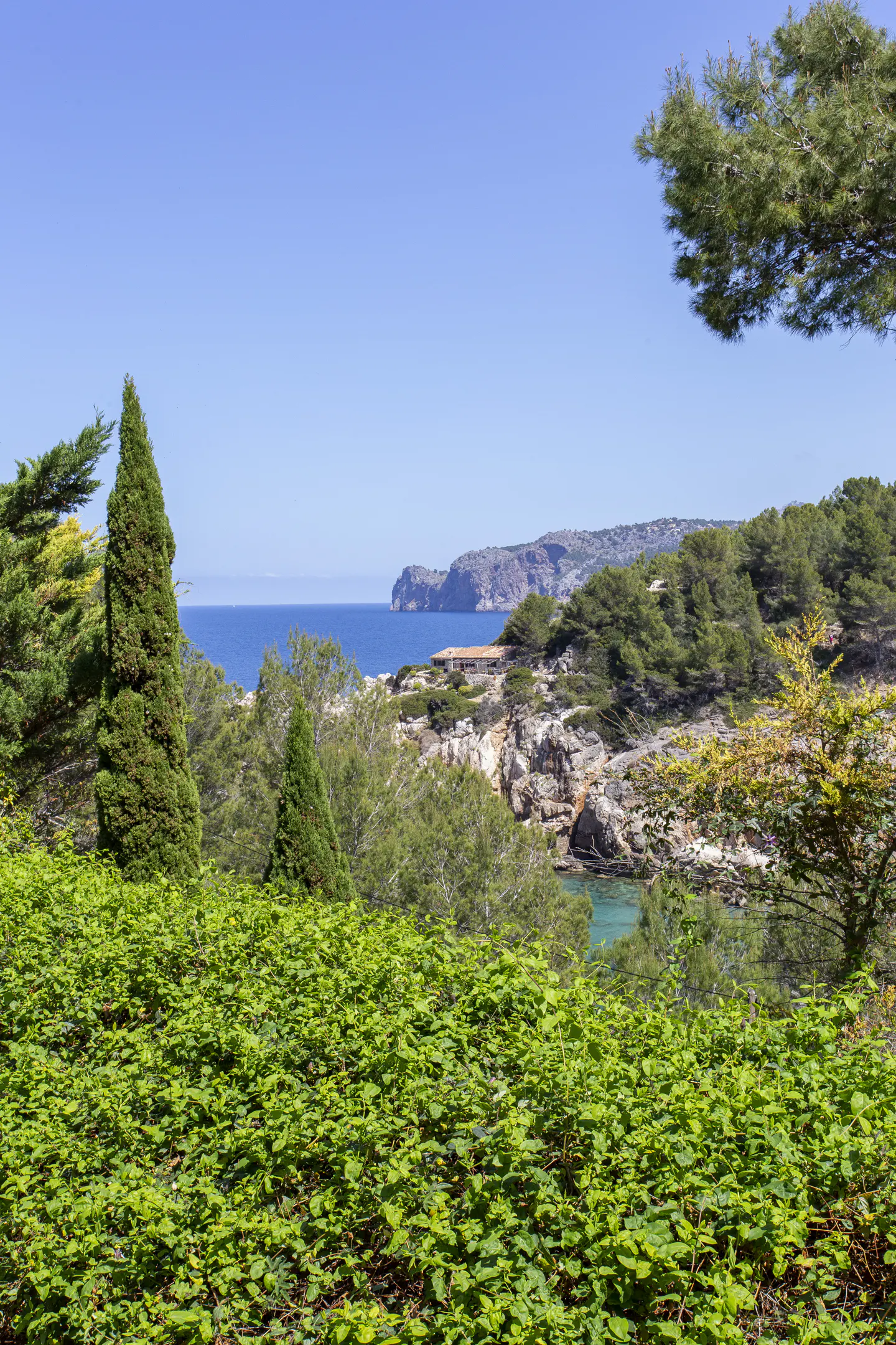 Scenic view of a rocky coastline with green trees, blue sea, and clear sky.