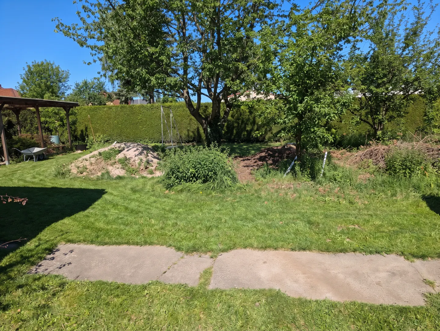 A sunny backyard with green grass, trees, and a tall hedge. A pile of dirt and a wheelbarrow are visible.