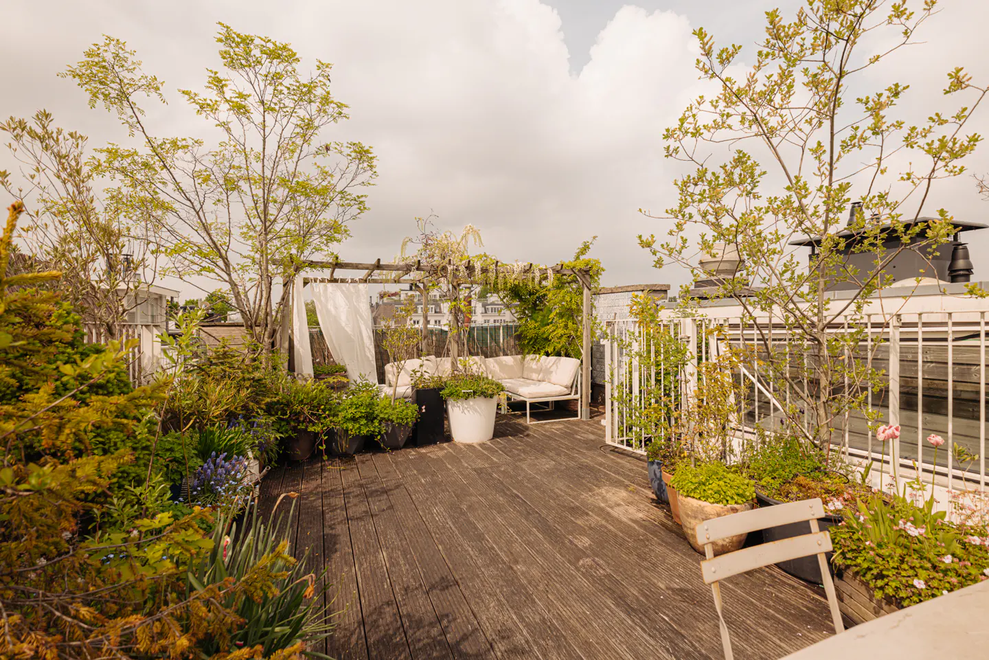 Rooftop garden with wood deck, plants, and white seating area under a pergola with white curtains. White fence surrounds the space.