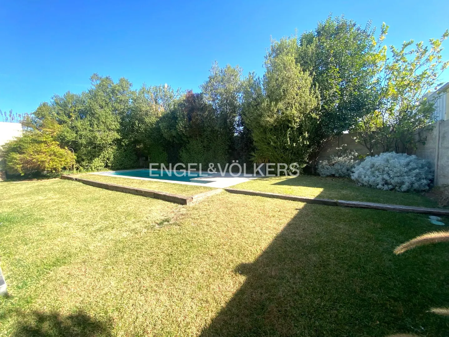 A sunny backyard with a green lawn, a rectangular swimming pool, and lush trees under a clear blue sky.