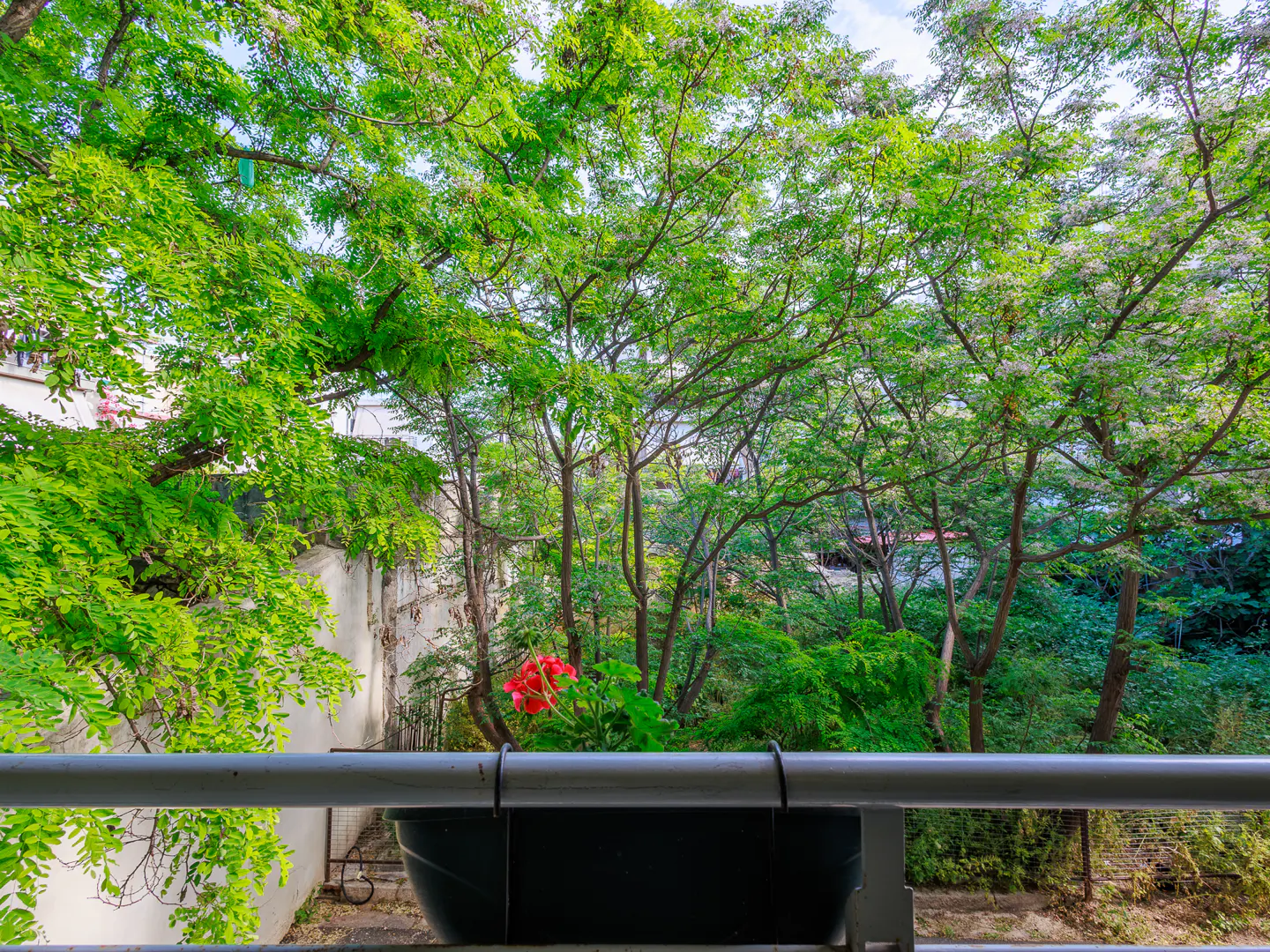 Balcony view with a black flower box holding red geraniums. Lush green trees fill the background. Gray railing in the foreground.