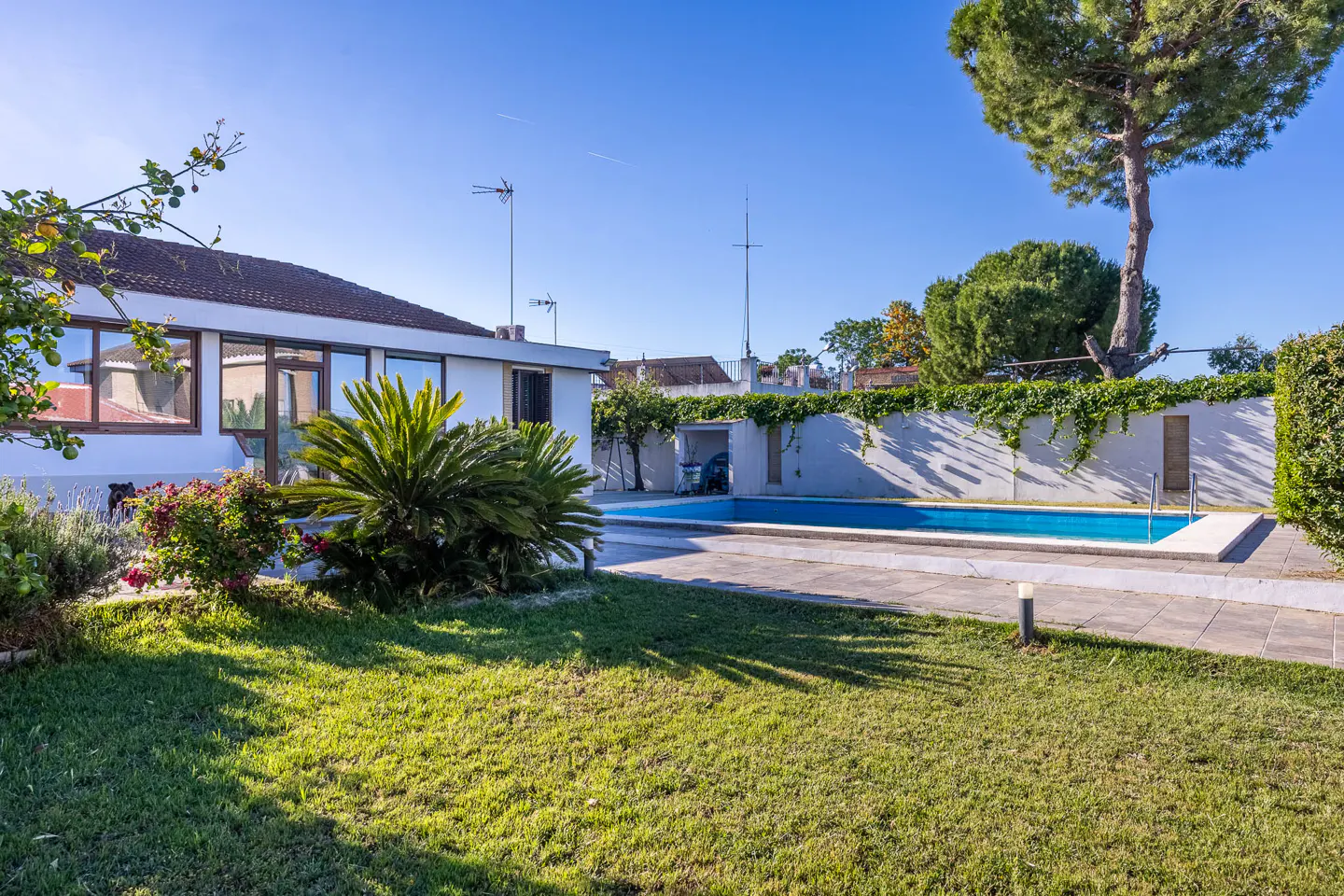 Backyard view of a white house with a blue swimming pool, green lawn, and trees under a clear blue sky.