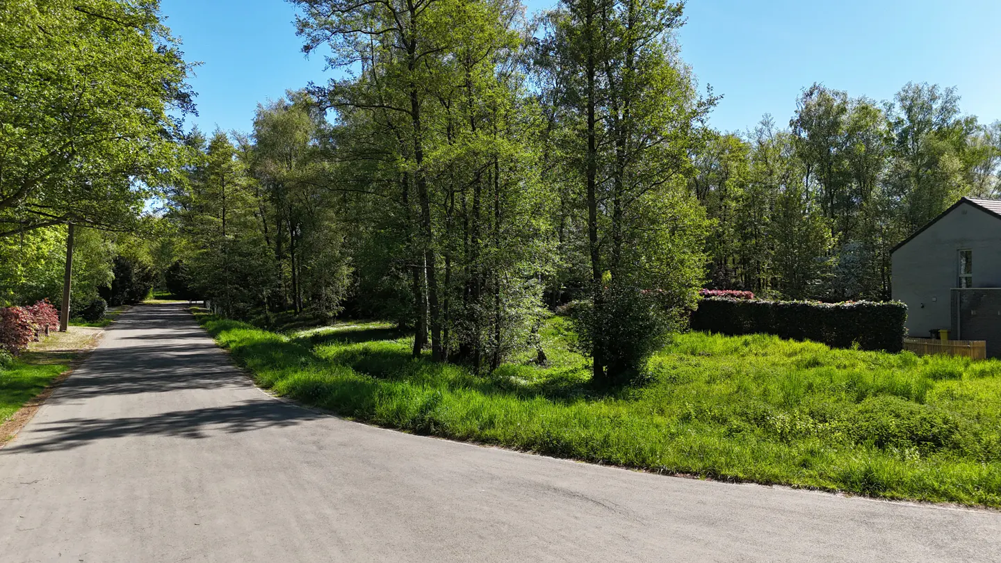 A gray asphalt road leads to a wooded area with green grass and trees under a blue sky. A gray house is visible on the right.
