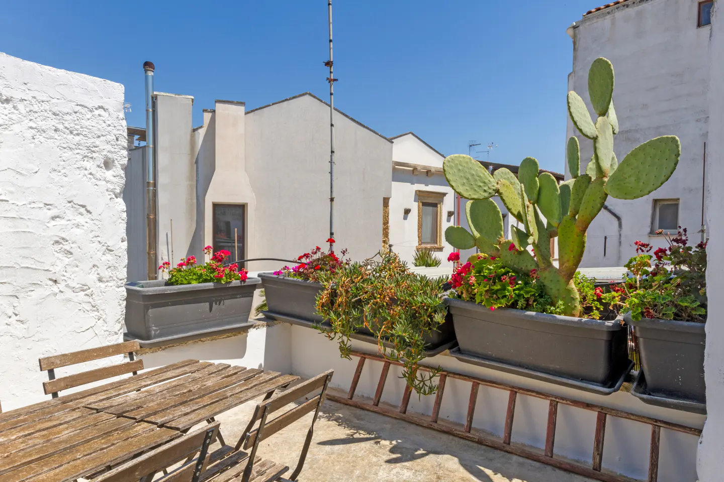 A sunny rooftop terrace with a wooden table, chairs, and planters filled with vibrant red flowers and a large cactus.