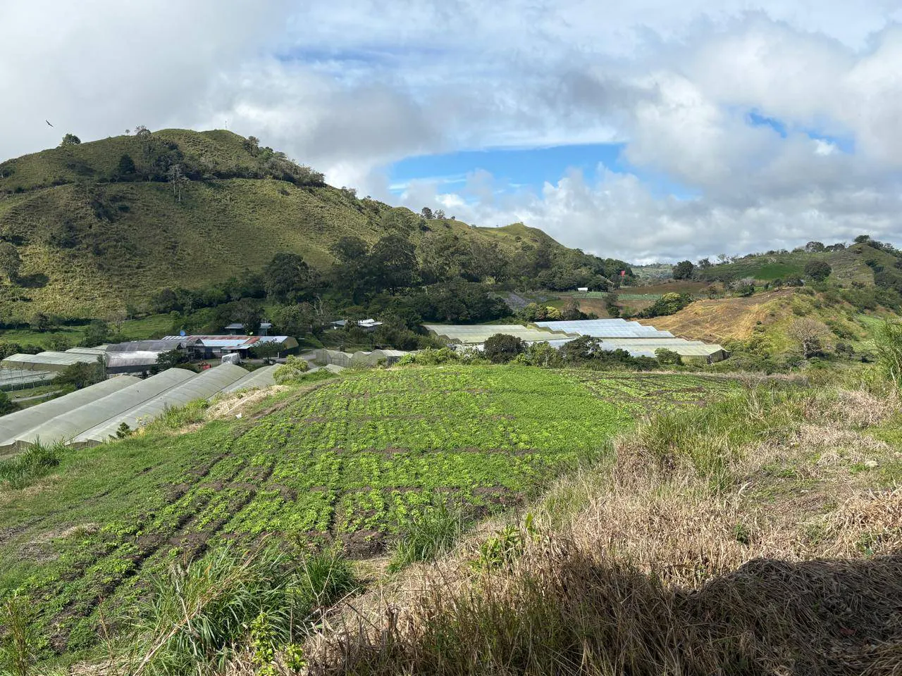 Hills with green fields and greenhouses under a cloudy sky.