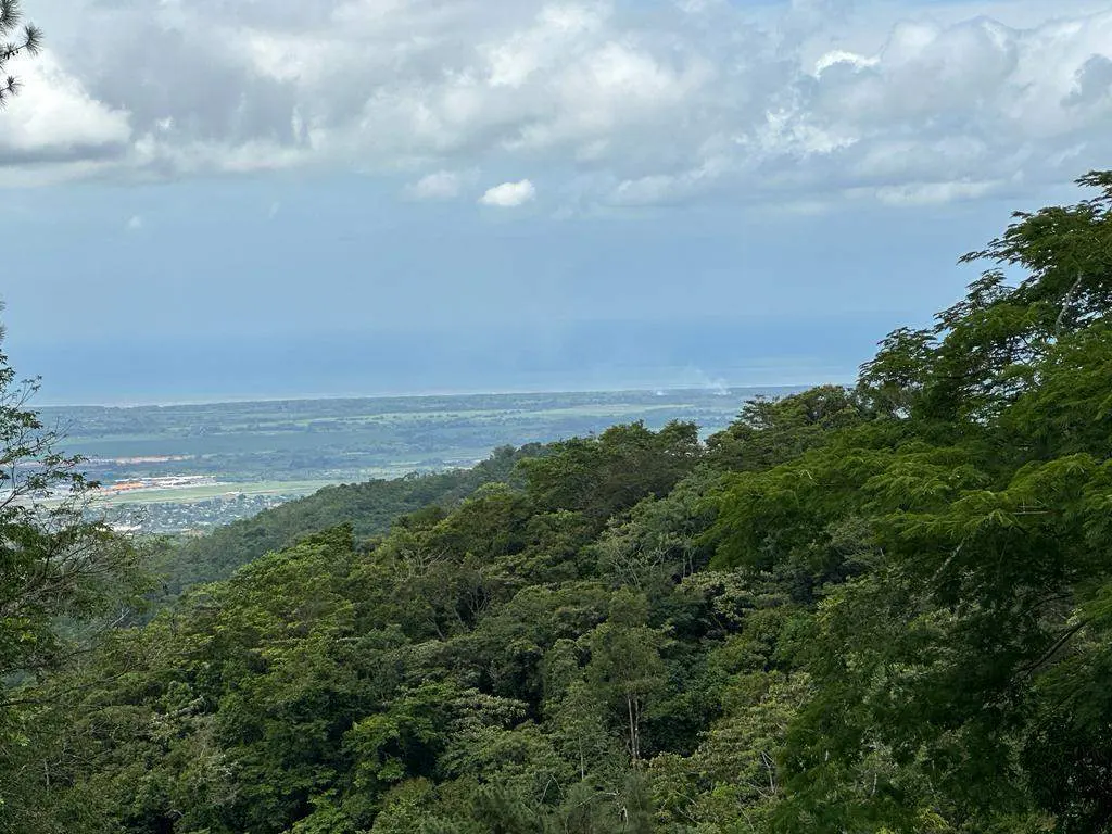 Scenic view from a lush green hillside overlooking a distant coastline under a cloudy sky.