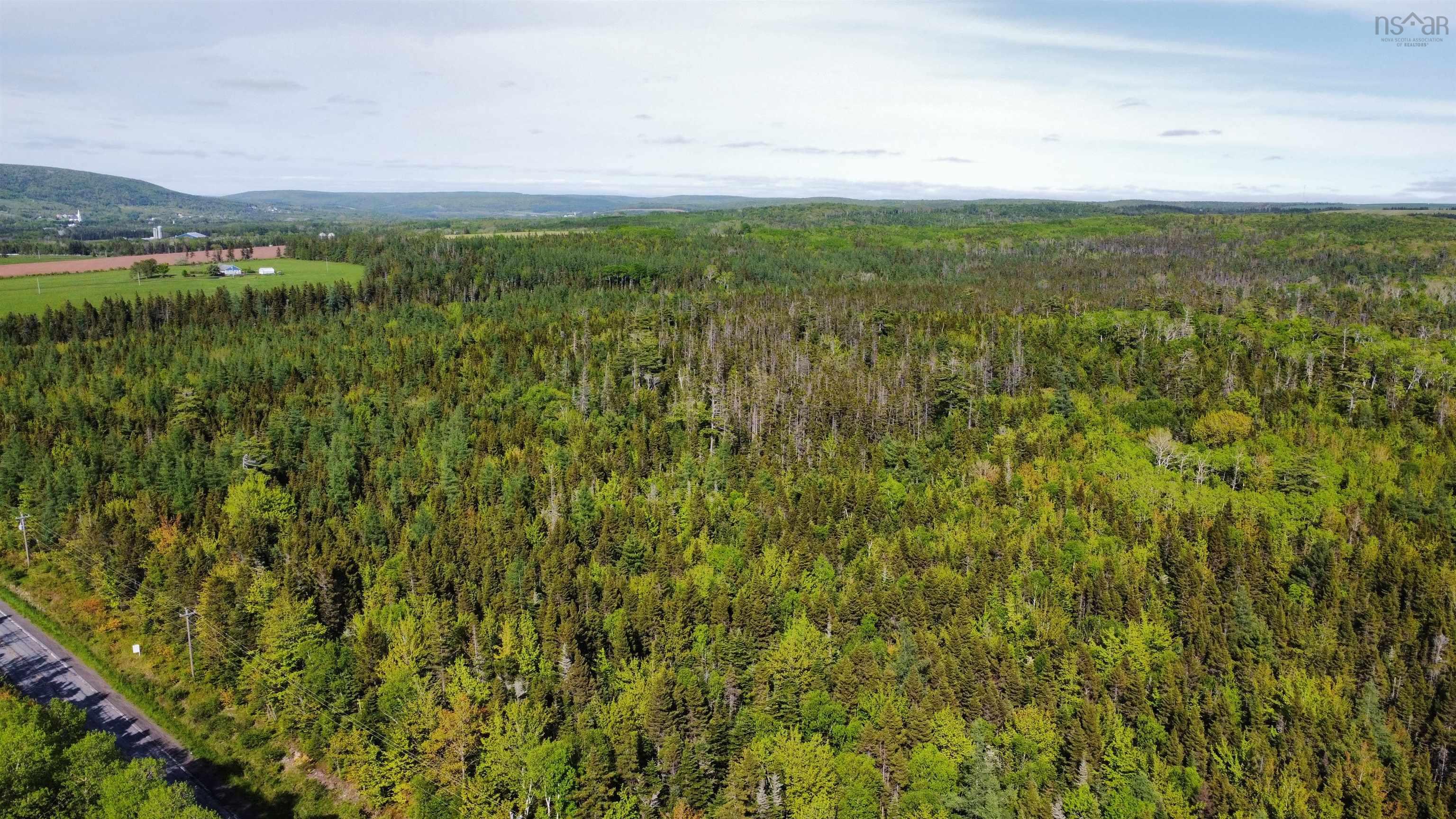 21-Acre Wooded Parcel Near Mabou: Privacy, Culture & Space