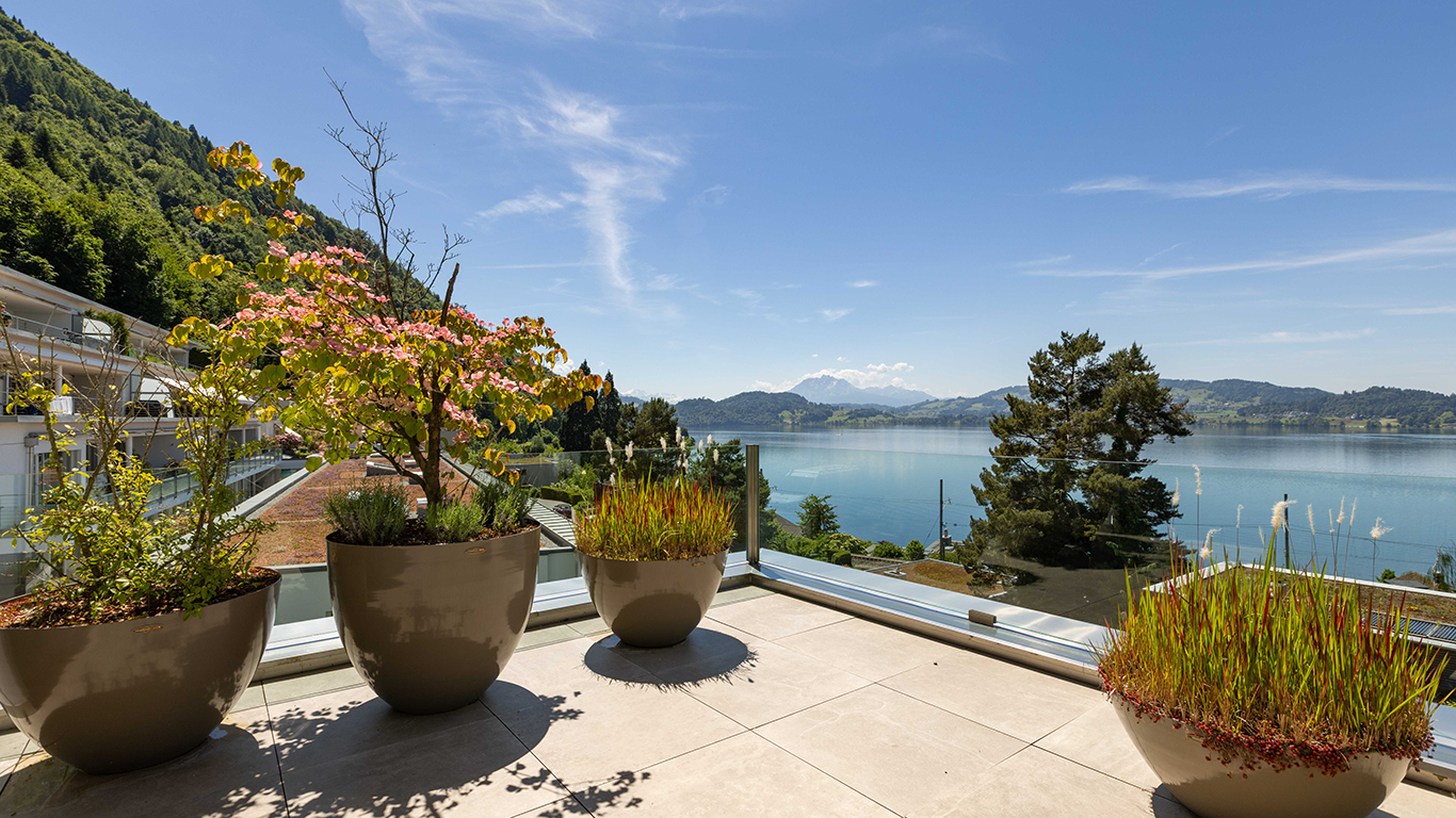 The View | Villa