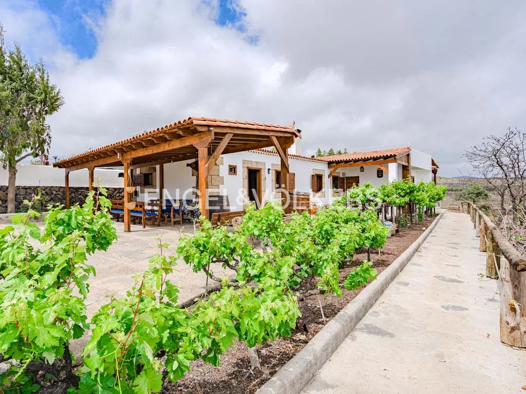 Fantastic finca vineyard surrounded by nature
