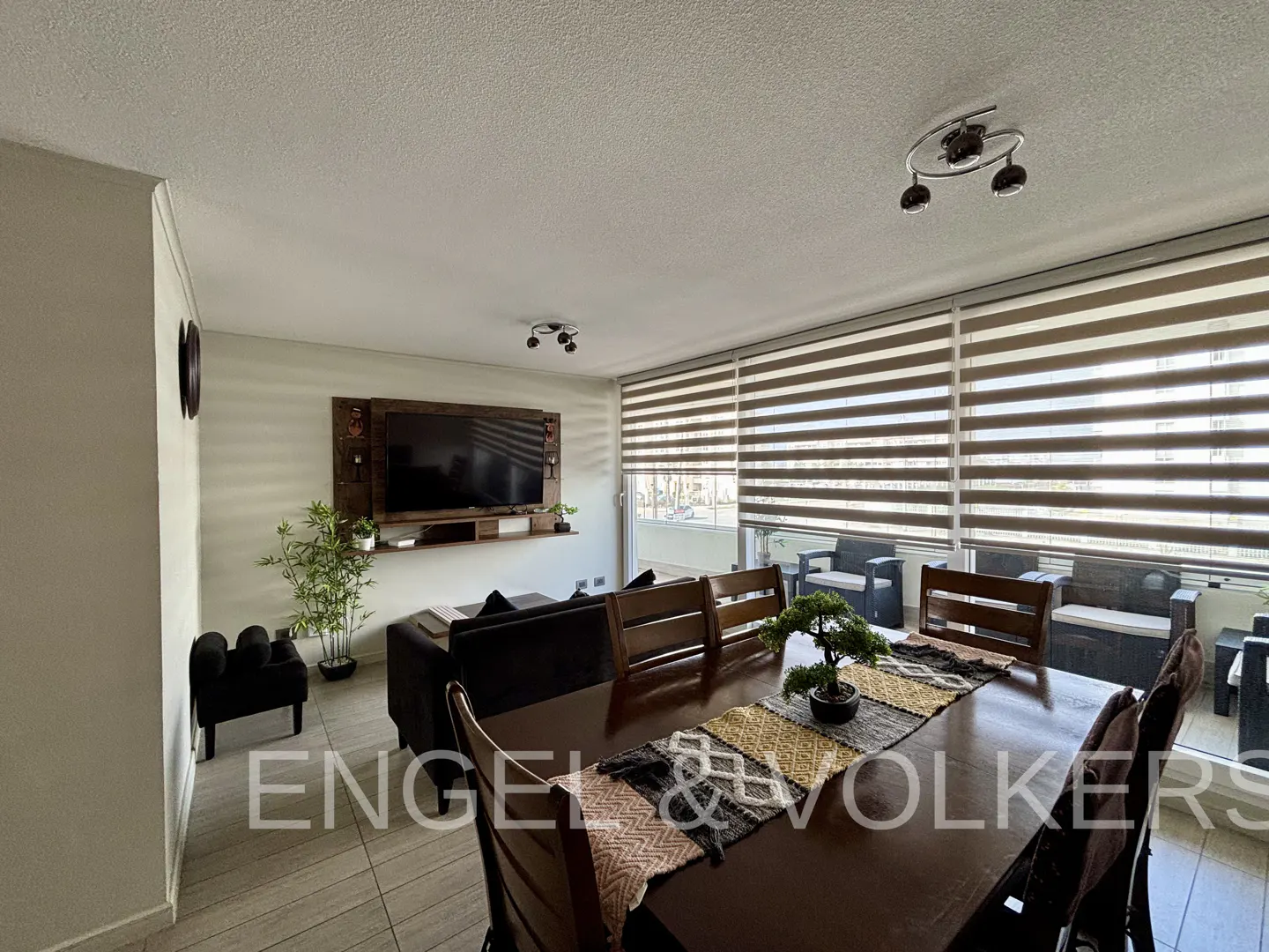 A living and dining area with a dark wood table, chairs, and a bonsai tree. A TV is mounted on the wall with a plant next to it. Blinds cover the windows.