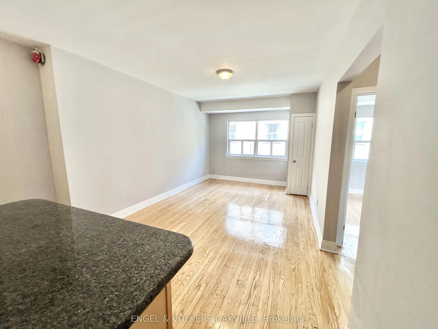 Bright, empty living room with light hardwood floors, white walls, a window, and a dark granite kitchen counter in front.