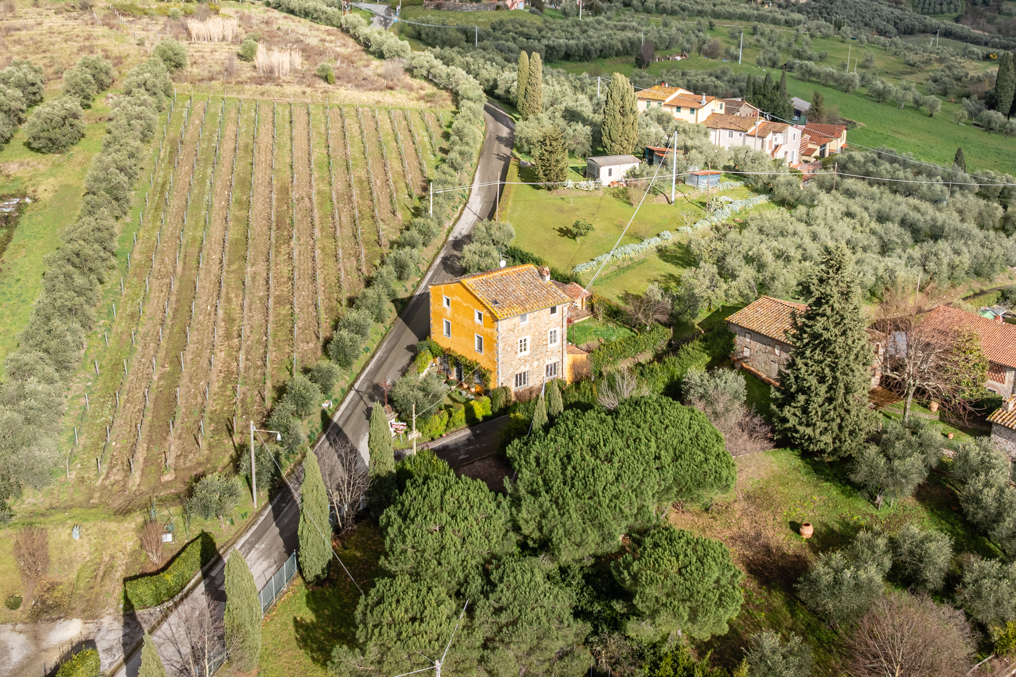 Tofori: villa in typical Tuscan style on the hills of Lucca