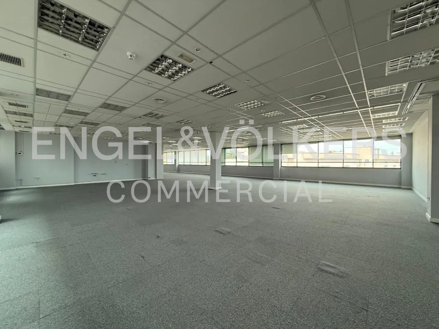 A large, empty commercial space with gray carpet, white walls, and a suspended ceiling with fluorescent lighting. Windows line the back wall.