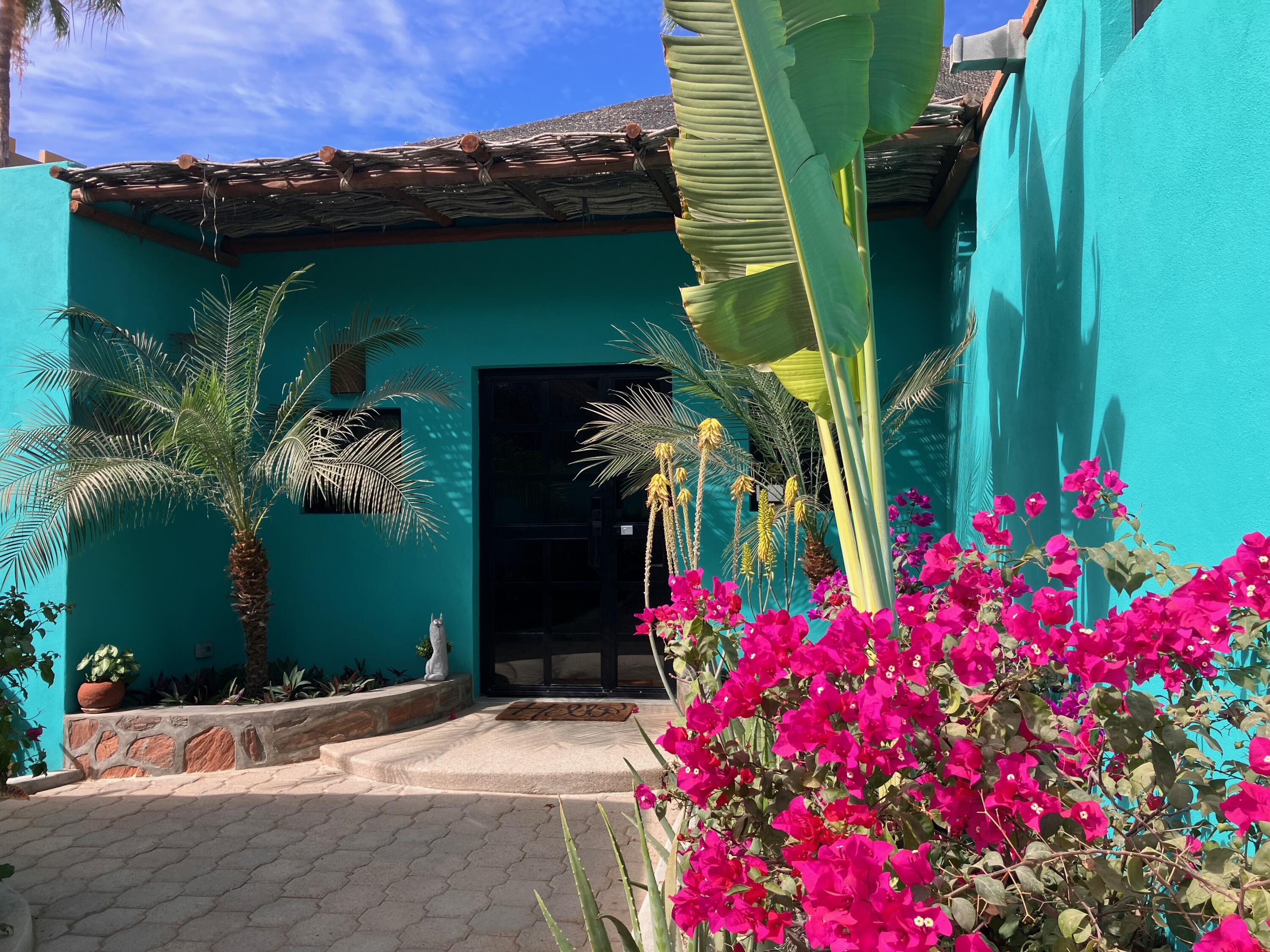 CASA TURQUESA 9 Mutualismo