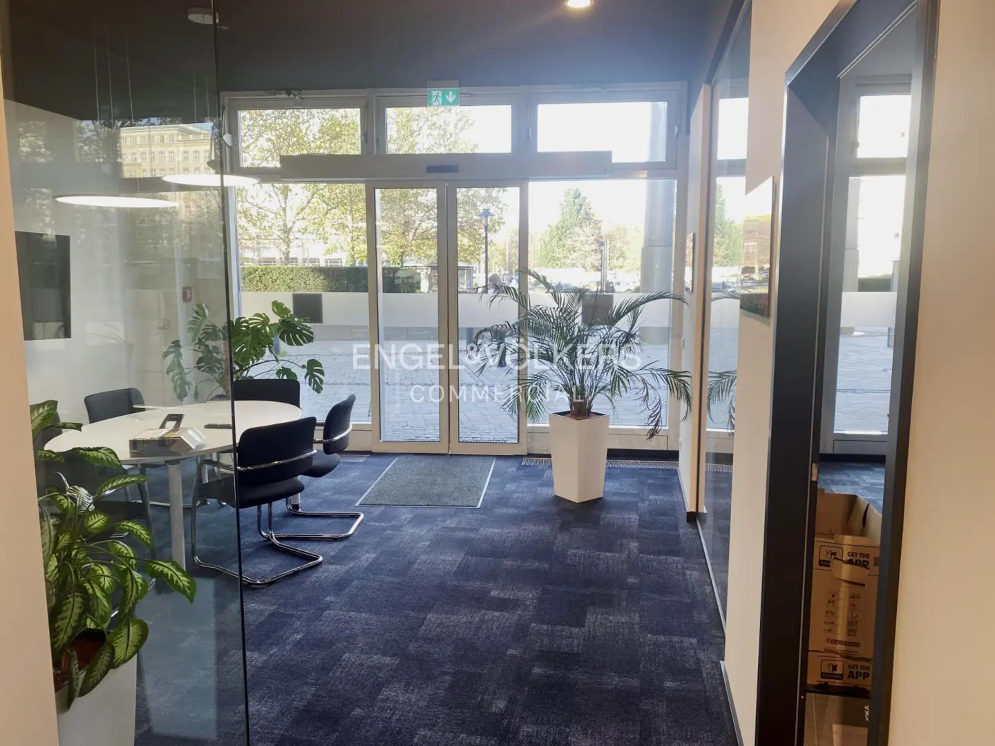 Office interior with blue carpet, glass walls, and a conference room with a white table and black chairs. A potted plant sits near the entrance.