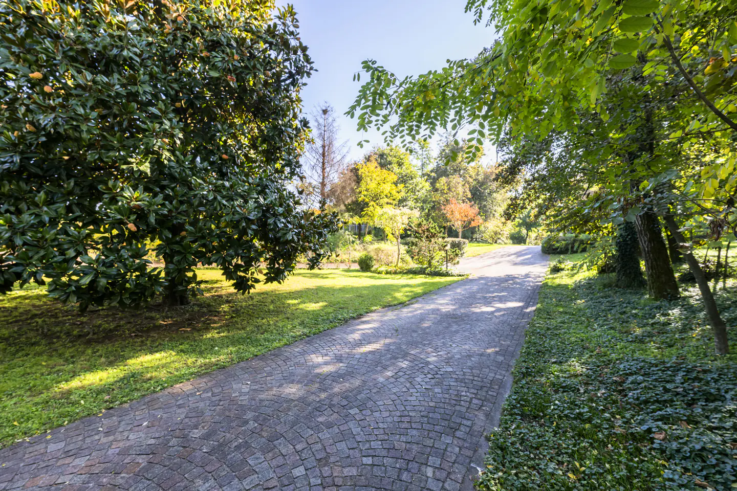 Cobblestone driveway leading through a lush green lawn with trees and foliage on a sunny day.