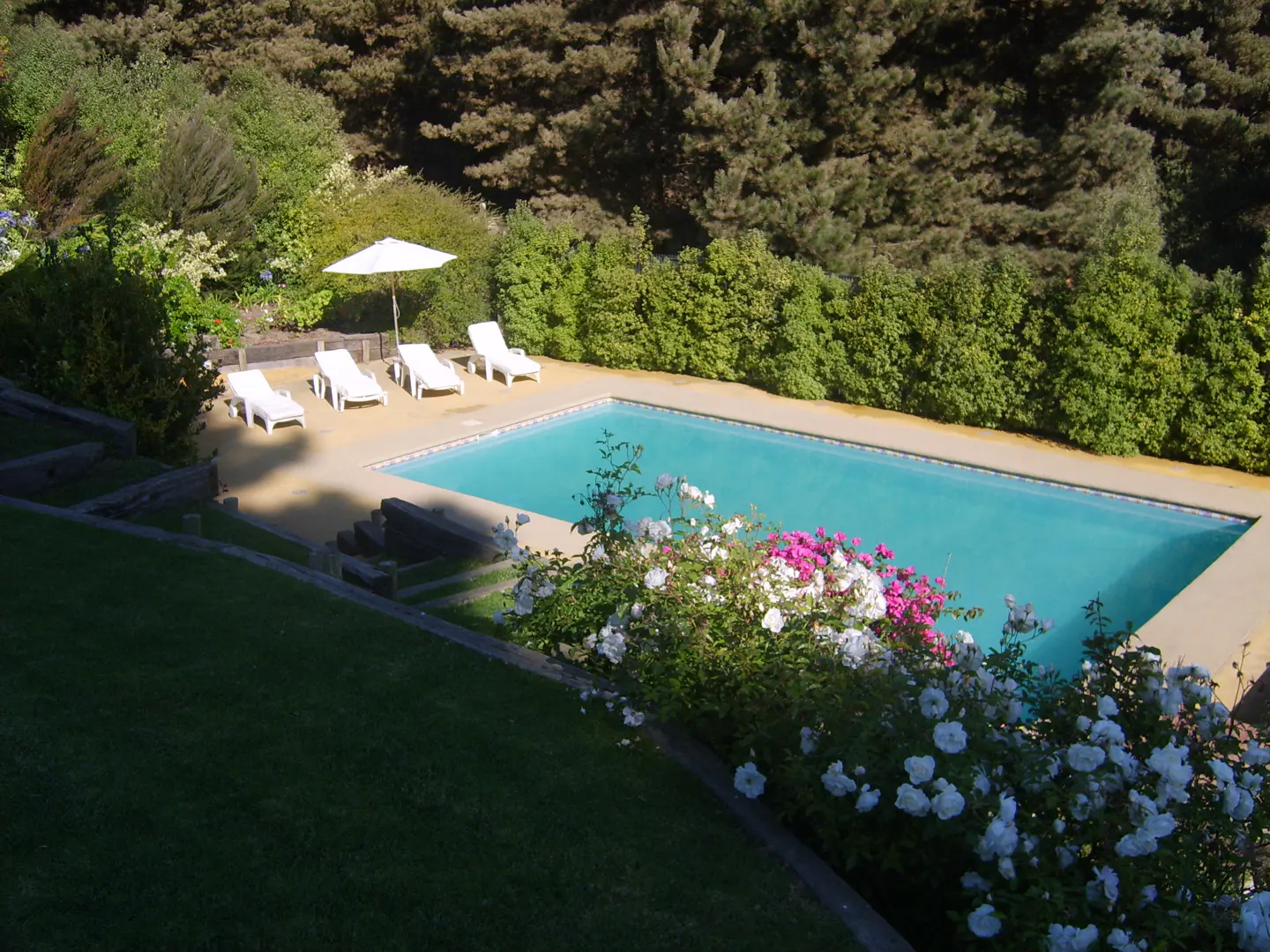 Outdoor pool with turquoise water, surrounded by green grass, trees, and white and pink flowers. Four white lounge chairs and a white umbrella are near the pool.