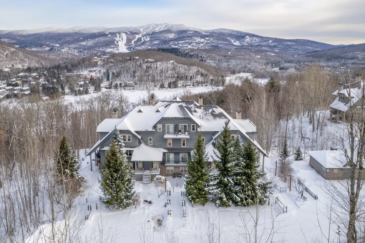 Gray house with snow-covered roof, surrounded by snow-covered trees and a mountain in the background.