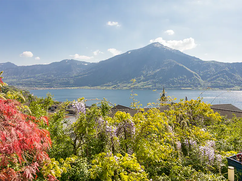 Scenic view of a lake surrounded by mountains, with lush greenery and flowers in the foreground. Blue sky with scattered clouds above.