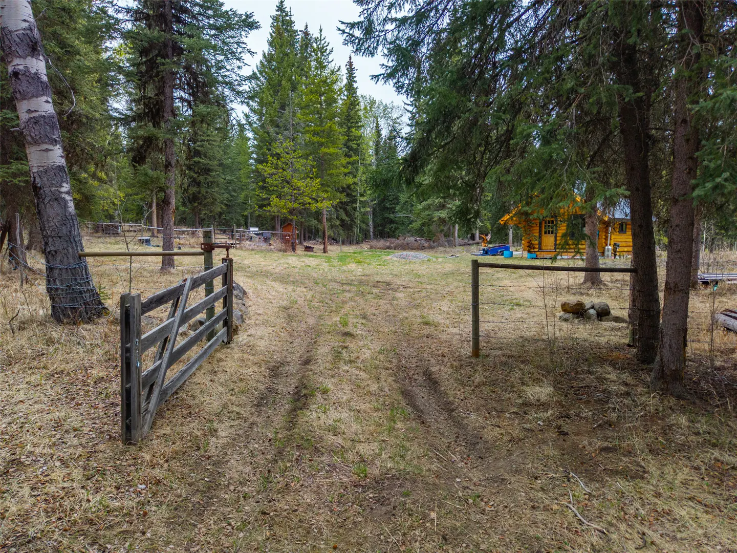 Gravel driveway leads through an open wooden gate to a yellow log cabin in a forest.