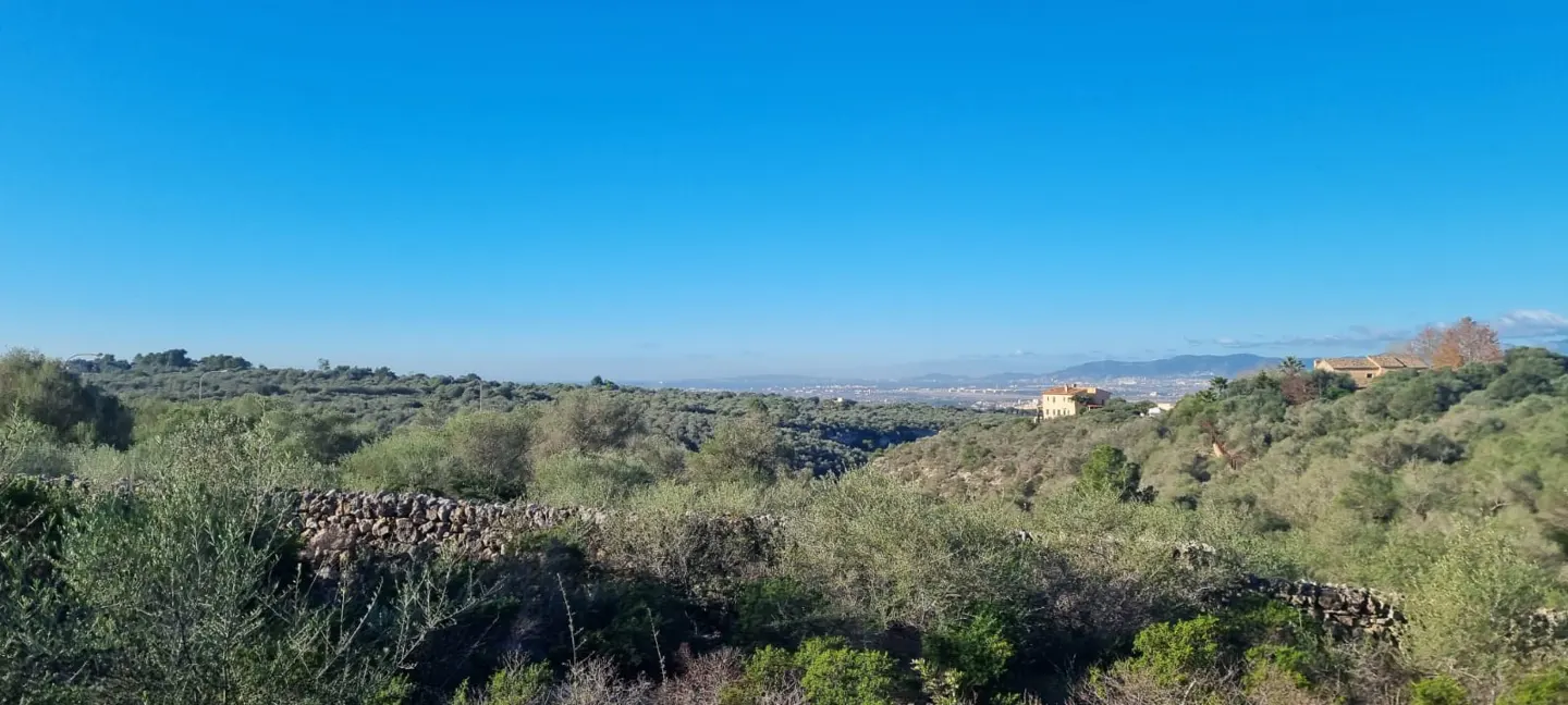 Scenic view of green hills under a clear blue sky. Stone wall in foreground, buildings visible in the distance.