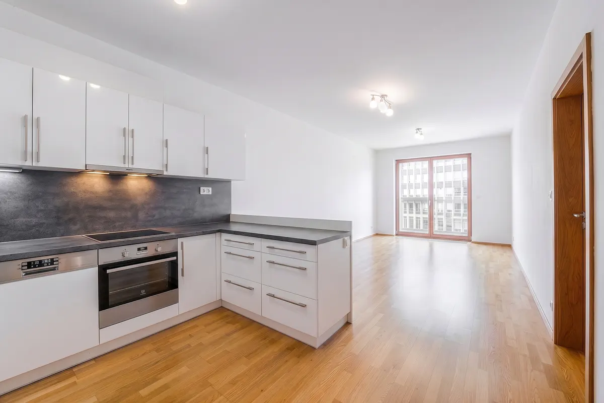 Bright, modern apartment with white cabinets, stainless steel appliances, and hardwood floors leading to a large window.
