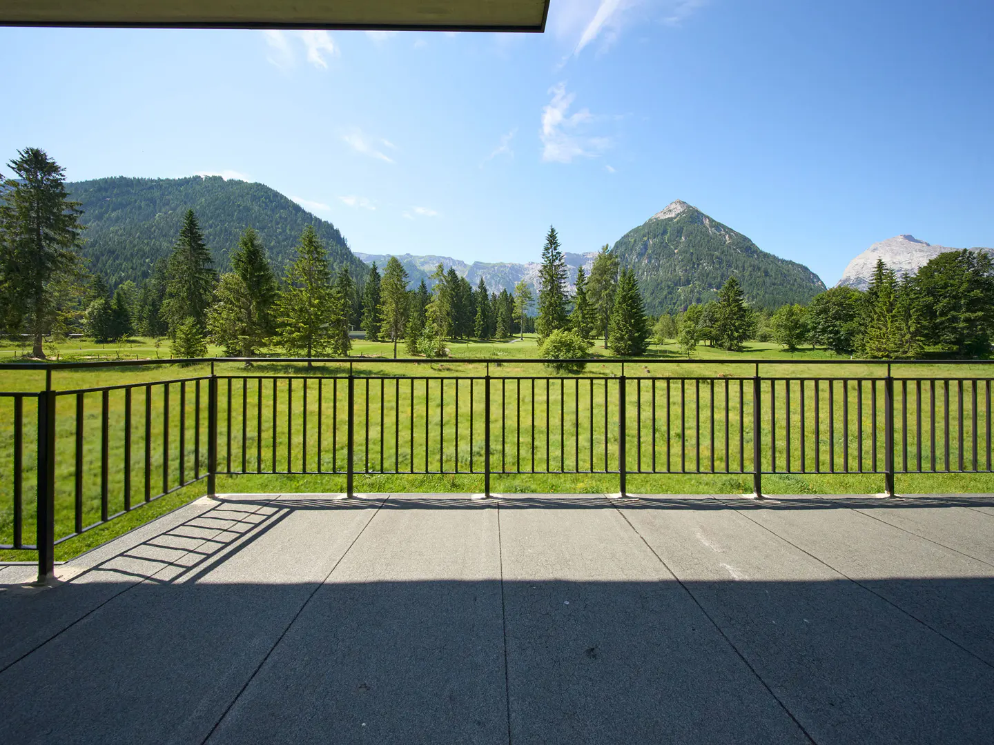 View from a balcony with black railings overlooking a green field, trees, and mountains under a blue sky.