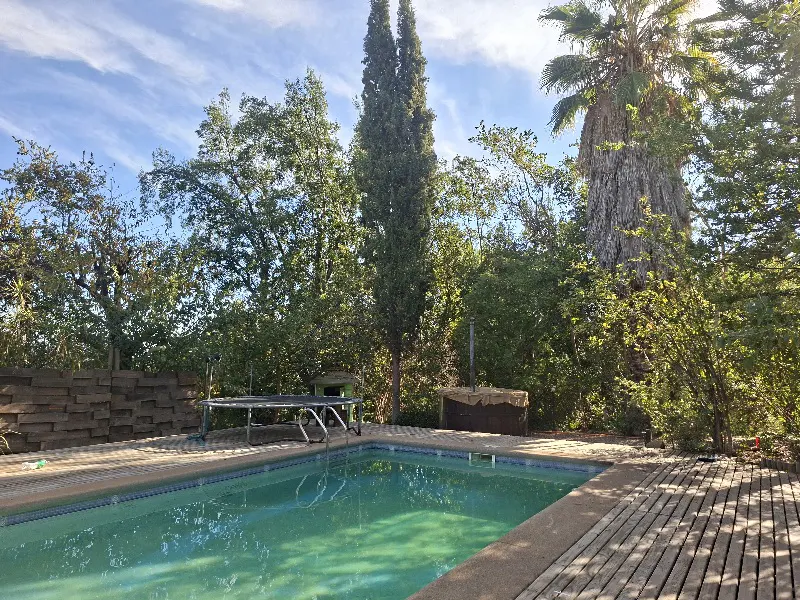 Outdoor pool with turquoise water, surrounded by trees, a trampoline, and a wooden deck under a blue sky.