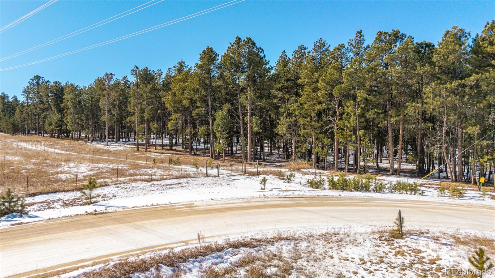 Private 7.5 Acre Lot With Mature Pines
