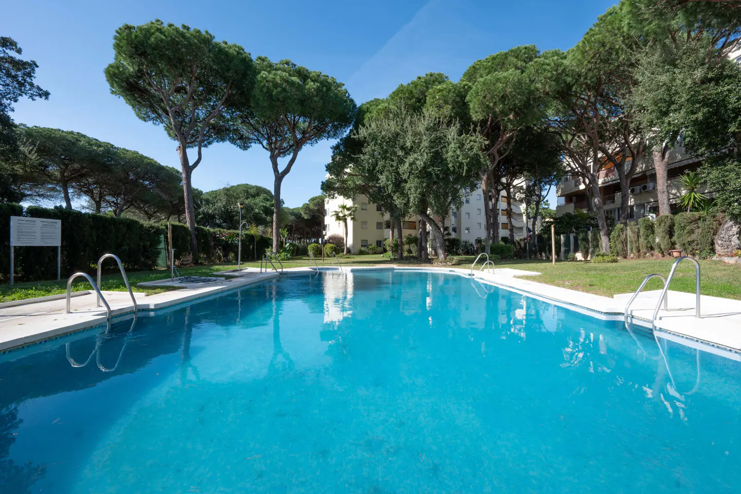 Outdoor pool with turquoise water, surrounded by green trees and grass, under a clear blue sky. Ladders provide access to the pool.