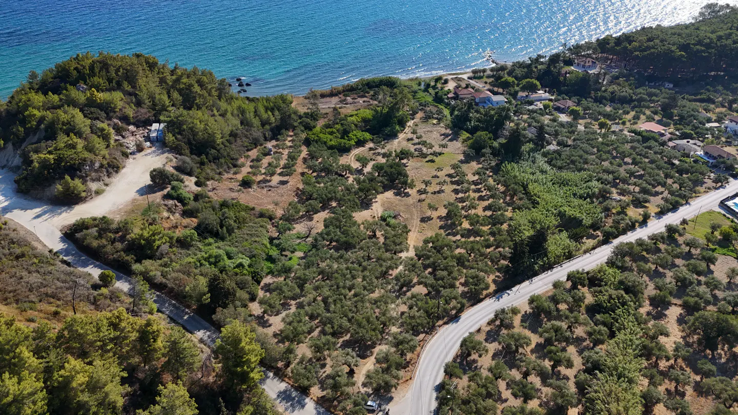 Aerial view of land for sale, featuring olive trees, a road, and the turquoise sea in the background.