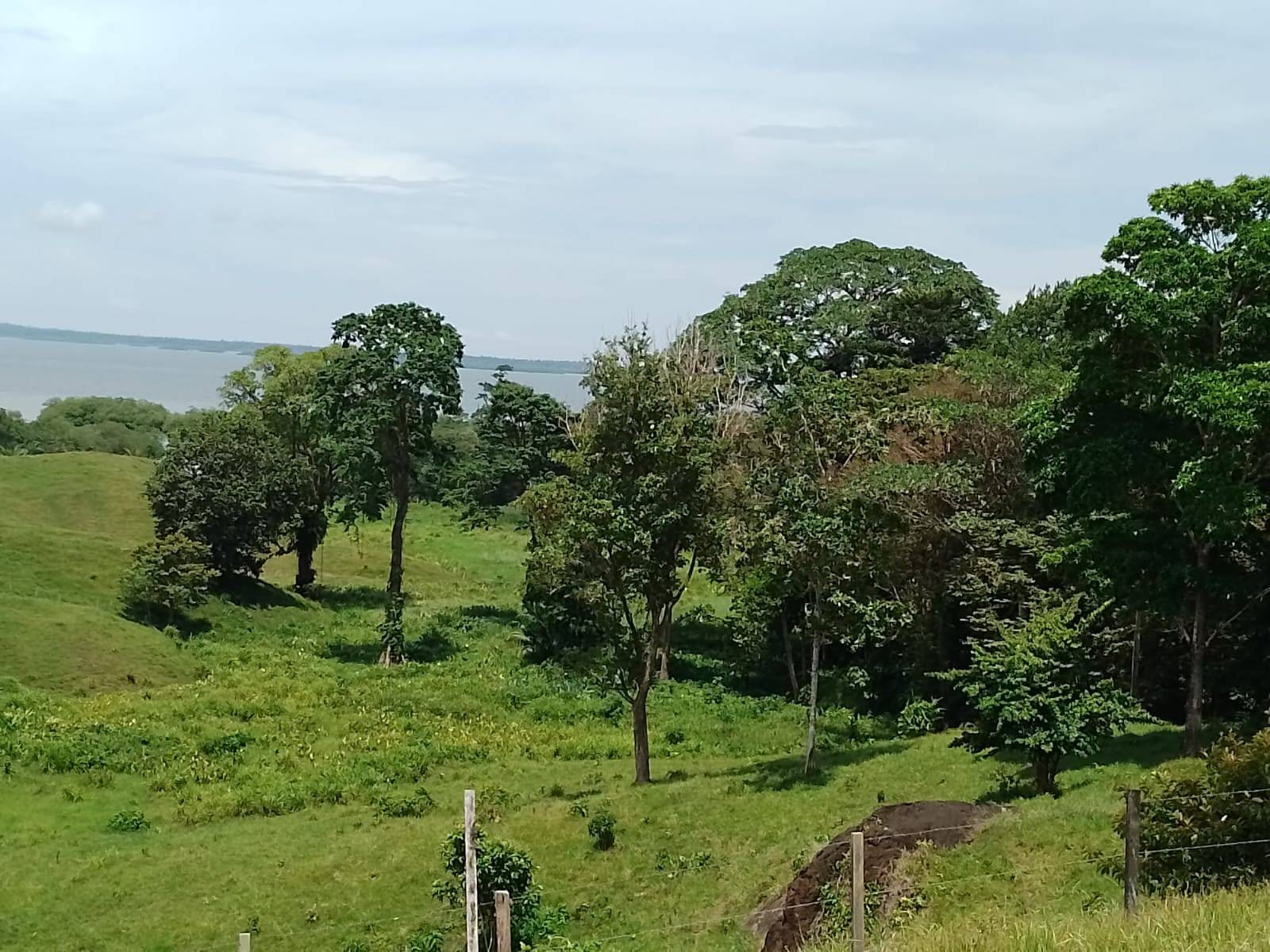 Eco Lifestyle Living Land Opportunity in Isla Cristobal