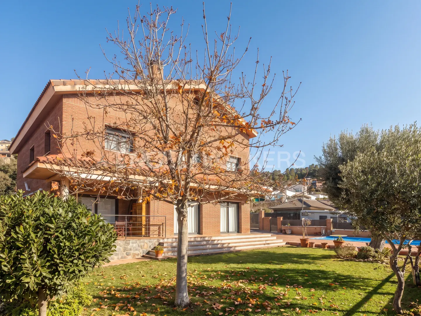 [AI-generated photo]