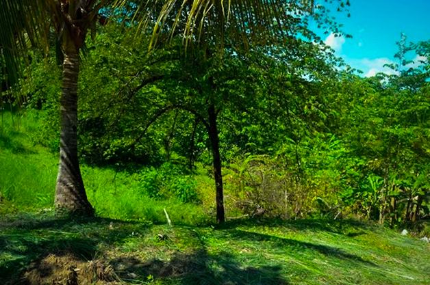 Stunning Ocean View Lot 16 in La Reserva Camaronal