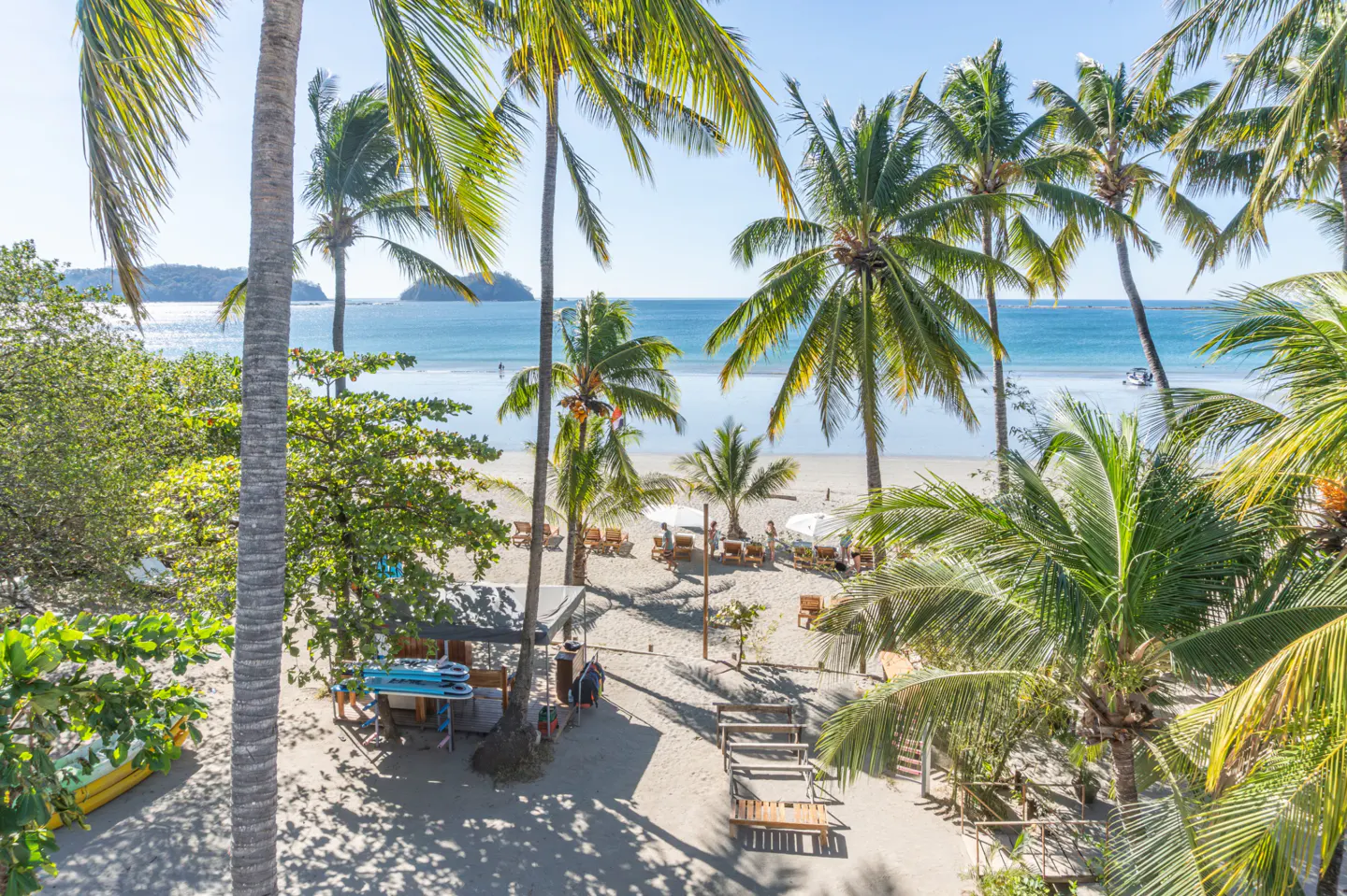 Beach view with palm trees, lounge chairs, and blue ocean under a clear sky.