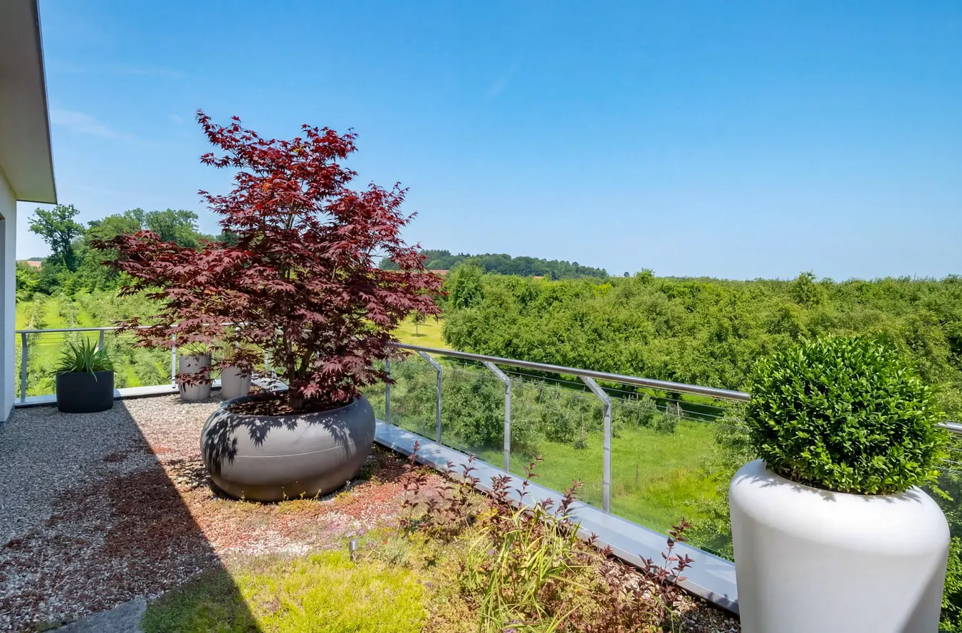 A balcony with potted plants overlooks a green landscape under a clear blue sky. A red Japanese maple is in a gray pot.
