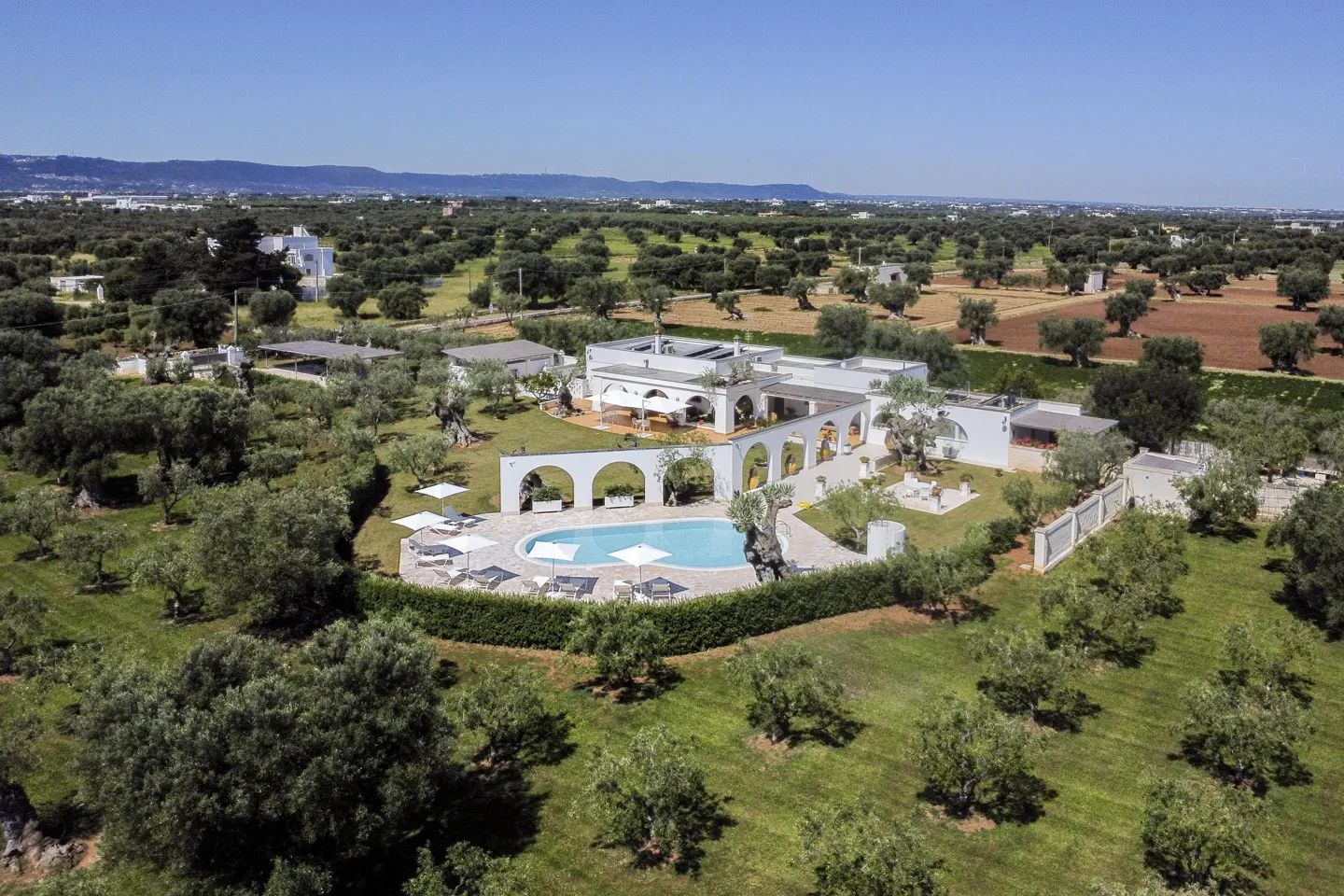 Aerial view of a white villa with a pool, surrounded by olive trees and green grass under a blue sky.
