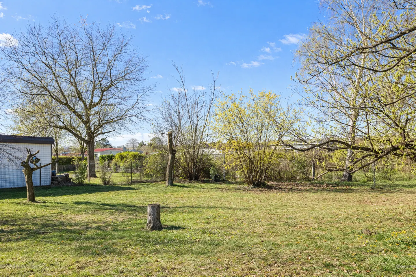 A grassy backyard with trees, bushes, and a shed under a blue sky. A tree stump sits in the foreground.