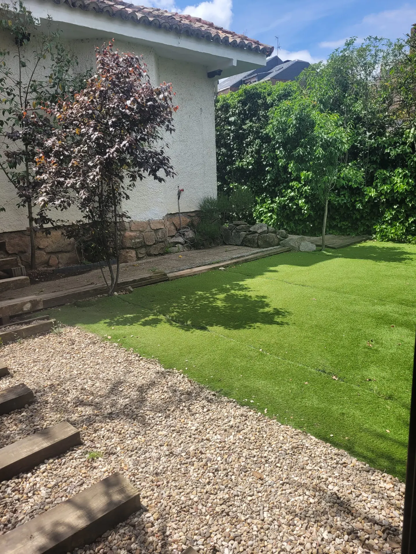 A backyard with green grass, a gravel path, and a small tree with red leaves.