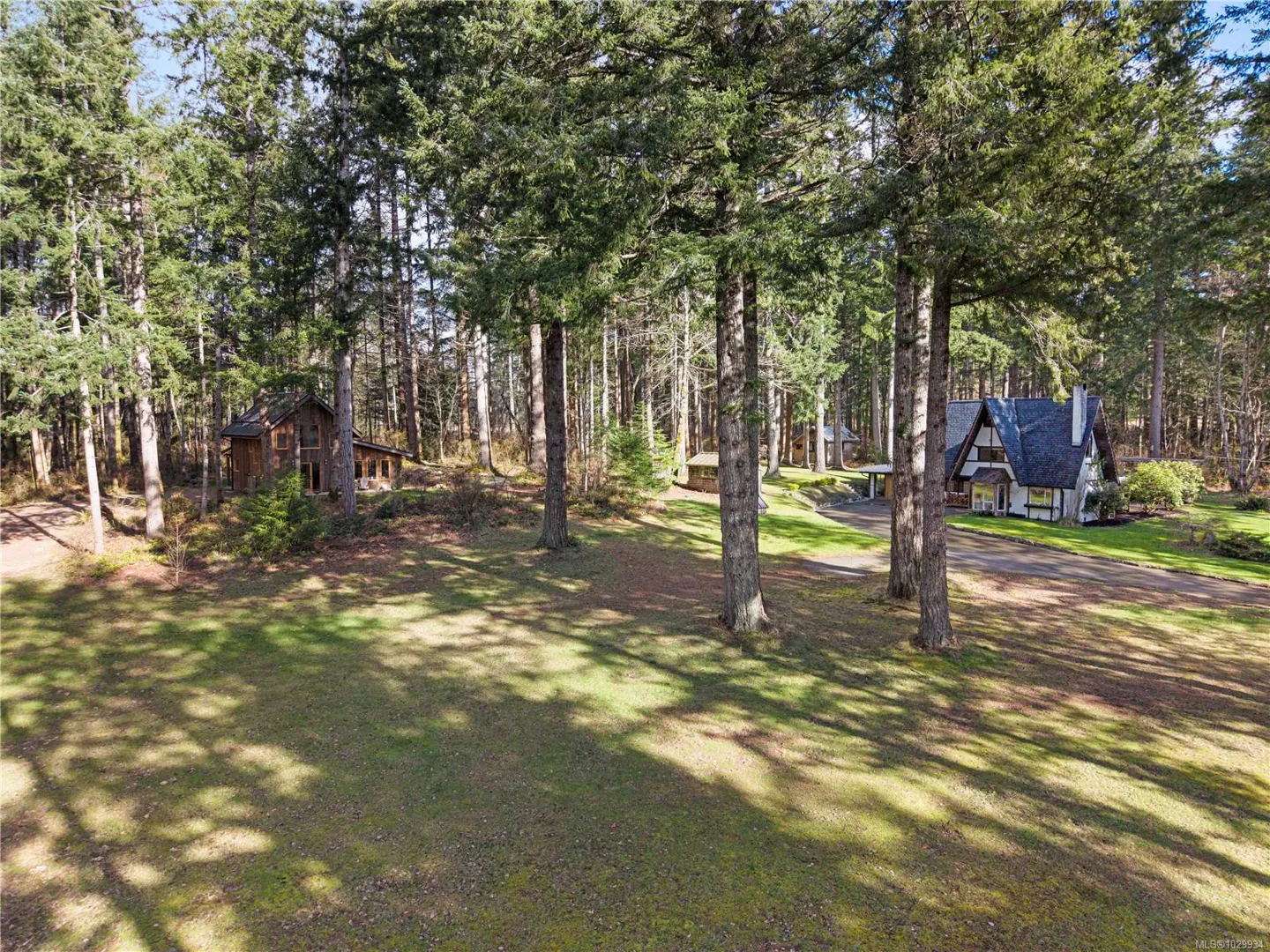 Exterior view of a white A-frame house and a brown cabin surrounded by tall green trees and a grassy lawn.