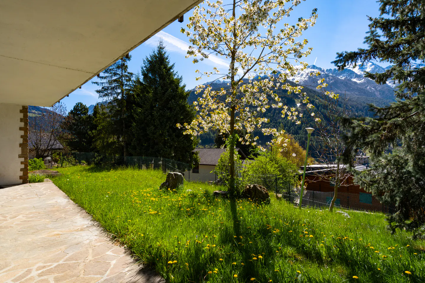 View from a patio onto a green lawn with dandelions, trees, and snow-capped mountains in the background.